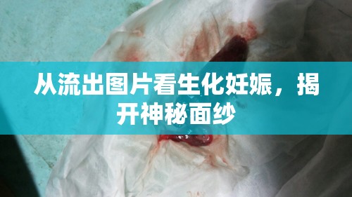 從流出圖片看生化妊娠，揭開(kāi)神秘面紗