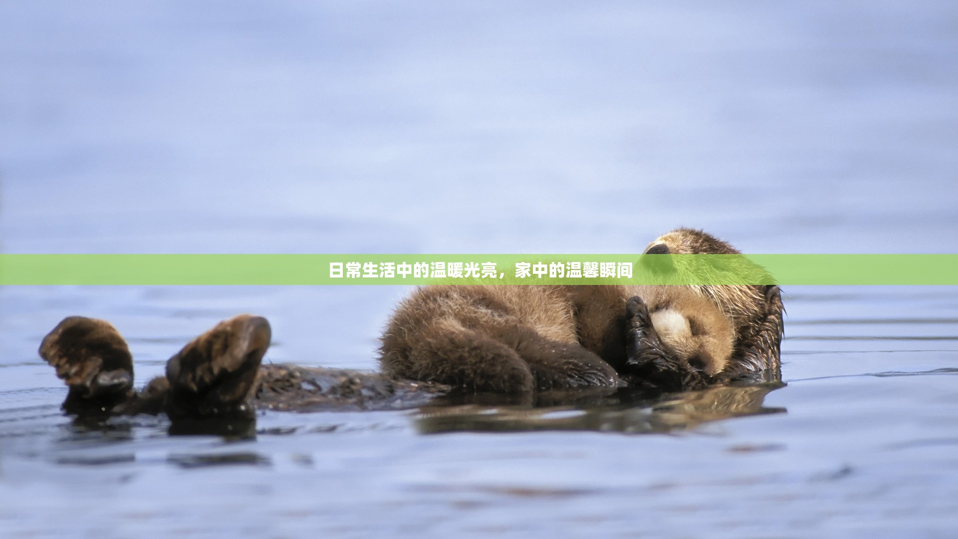 日常生活中的溫暖光亮，家中的溫馨瞬間