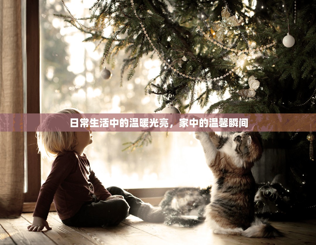 日常生活中的溫暖光亮，家中的溫馨瞬間