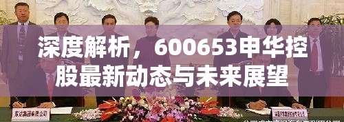 深度解析，600653申華控股最新動(dòng)態(tài)與未來(lái)展望