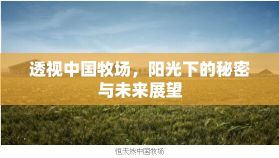 透視中國牧場，陽光下的秘密與未來展望