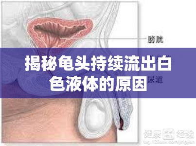 揭秘龜頭持續(xù)流出白色液體的原因