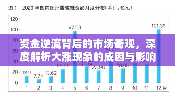 資金逆流背后的市場奇觀，深度解析大漲現(xiàn)象的成因與影響
