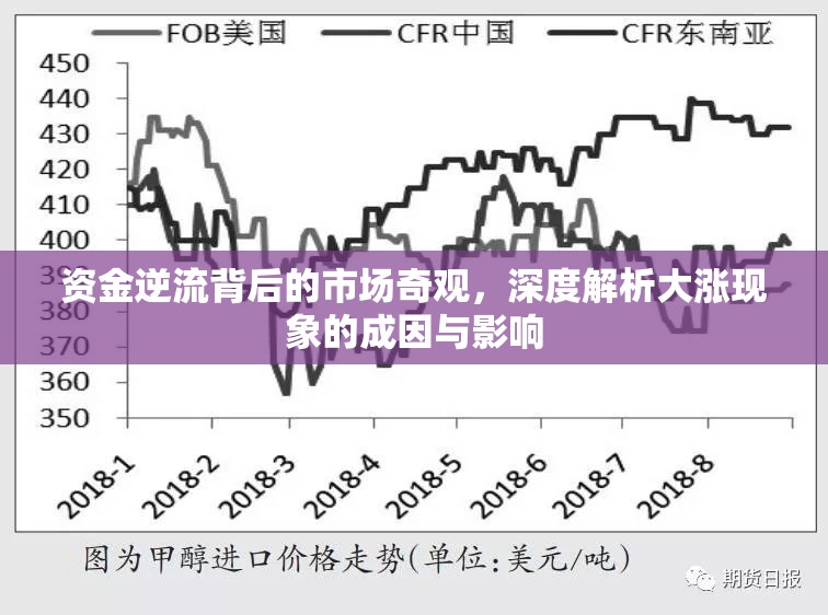 資金逆流背后的市場奇觀，深度解析大漲現(xiàn)象的成因與影響