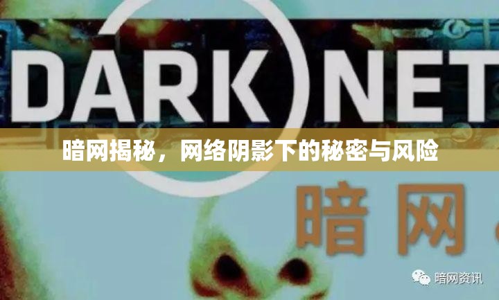 暗網(wǎng)揭秘，網(wǎng)絡(luò)陰影下的秘密與風(fēng)險