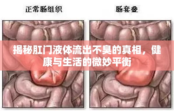 揭秘肛門液體流出不臭的真相，健康與生活的微妙平衡