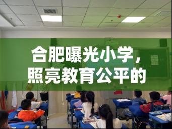 合肥曝光小學(xué)，照亮教育公平的明燈，守護(hù)童年的純真