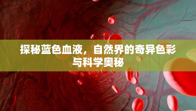 探秘藍(lán)色血液，自然界的奇異色彩與科學(xué)奧秘