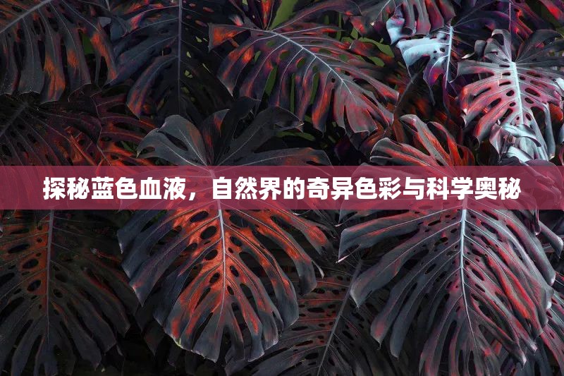 探秘藍(lán)色血液，自然界的奇異色彩與科學(xué)奧秘