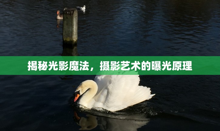 揭秘光影魔法，攝影藝術(shù)的曝光原理