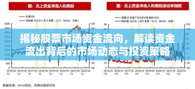 揭秘股票市場(chǎng)資金流向，解讀資金流出背后的市場(chǎng)動(dòng)態(tài)與投資策略