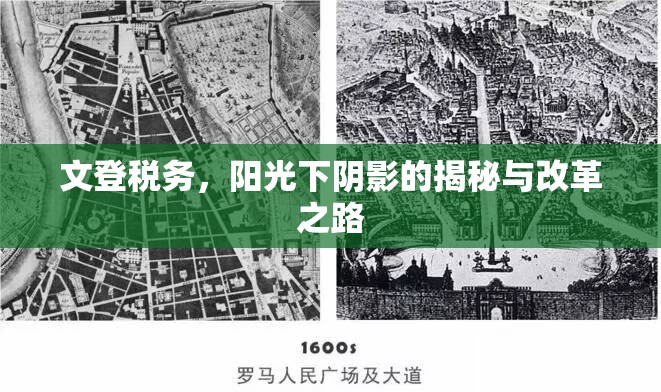 文登稅務(wù)，陽光下陰影的揭秘與改革之路