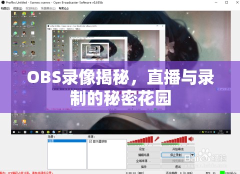 OBS錄像揭秘，直播與錄制的秘密花園