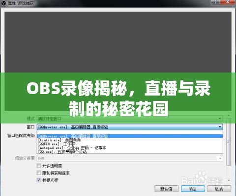 OBS錄像揭秘，直播與錄制的秘密花園
