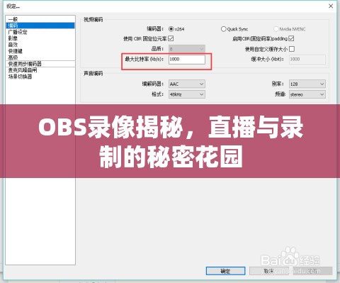 OBS錄像揭秘，直播與錄制的秘密花園