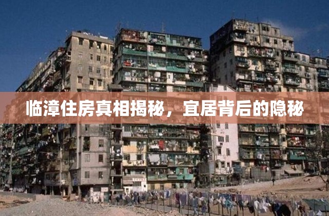 臨漳住房真相揭秘，宜居背后的隱秘