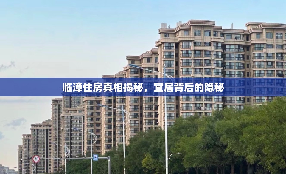 臨漳住房真相揭秘，宜居背后的隱秘