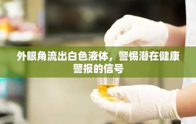 外眼角流出白色液體，警惕潛在健康警報(bào)的信號(hào)