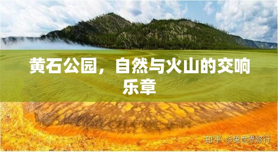黃石公園，自然與火山的交響樂章