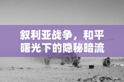 敘利亞戰(zhàn)爭(zhēng)，和平曙光下的隱秘暗流
