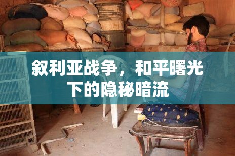 敘利亞戰(zhàn)爭(zhēng)，和平曙光下的隱秘暗流