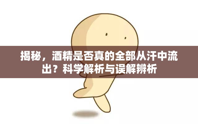 揭秘，酒精是否真的全部從汗中流出？科學解析與誤解辨析