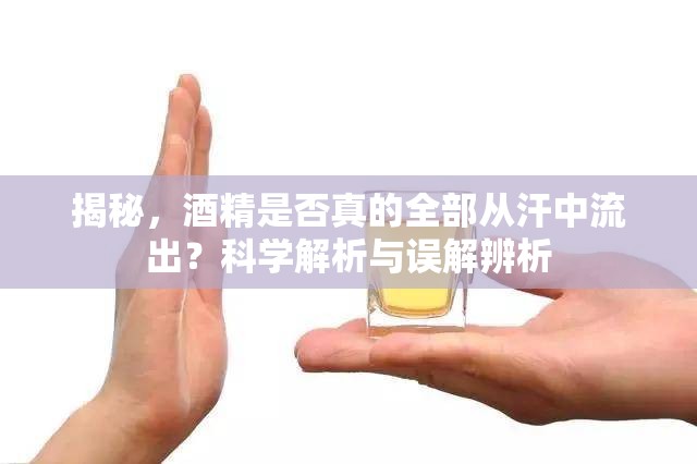 揭秘，酒精是否真的全部從汗中流出？科學解析與誤解辨析