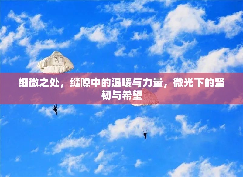 細(xì)微之處，縫隙中的溫暖與力量，微光下的堅(jiān)韌與希望