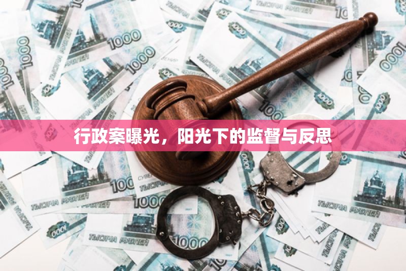 行政案曝光，陽(yáng)光下的監(jiān)督與反思