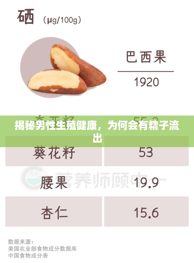 揭秘男性生殖健康，為何會有精子流出