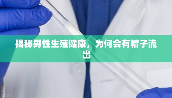 揭秘男性生殖健康，為何會有精子流出