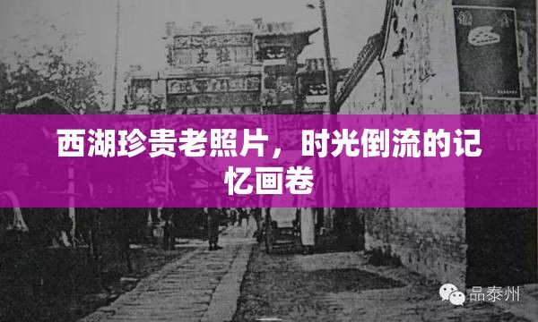 西湖珍貴老照片，時光倒流的記憶畫卷