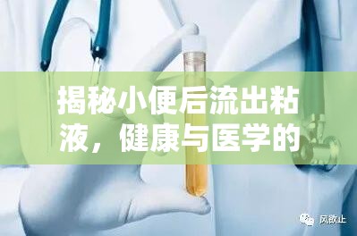 揭秘小便后流出粘液，健康與醫(yī)學(xué)的微妙平衡