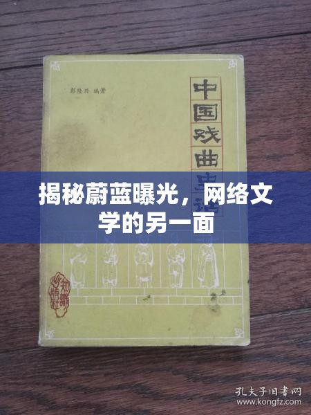 揭秘蔚藍(lán)曝光，網(wǎng)絡(luò)文學(xué)的另一面