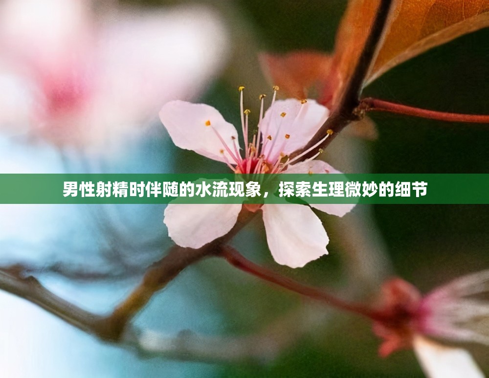 男性射精時(shí)伴隨的水流現(xiàn)象，探索生理微妙的細(xì)節(jié)