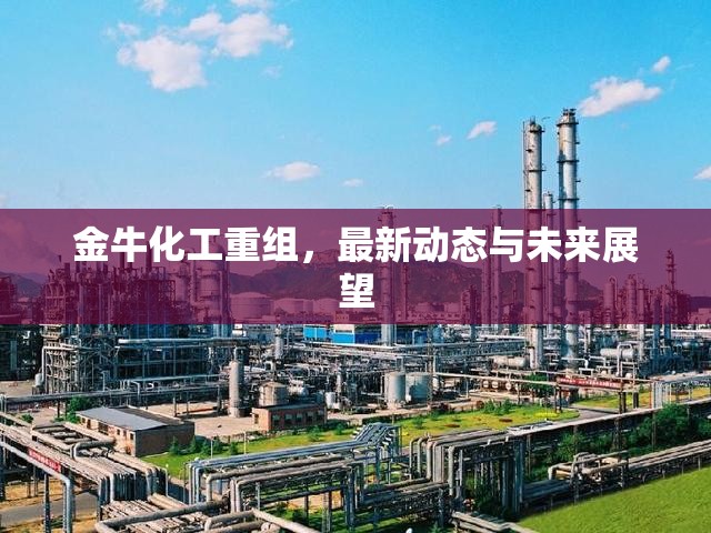 金?；ぶ亟M，最新動(dòng)態(tài)與未來展望