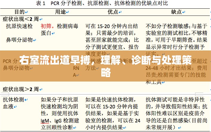 右室流出道早搏，理解、診斷與處理策略