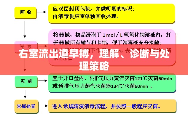 右室流出道早搏，理解、診斷與處理策略