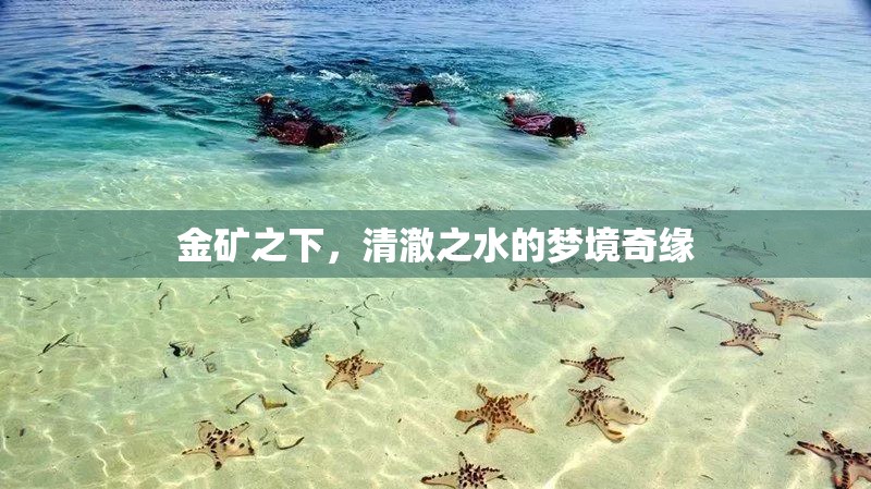 金礦之下，清澈之水的夢境奇緣