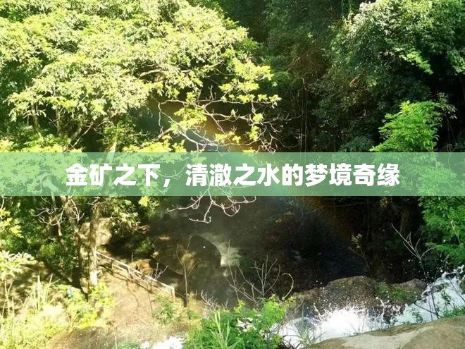 金礦之下，清澈之水的夢境奇緣
