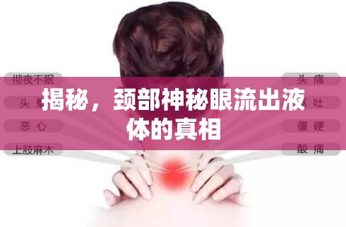 揭秘，頸部神秘眼流出液體的真相