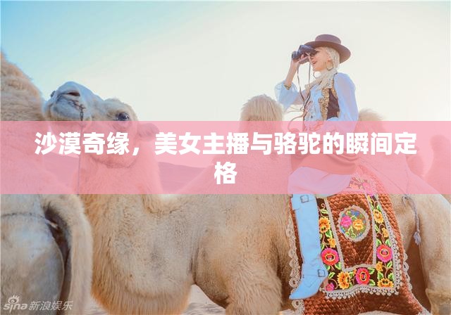 沙漠奇緣，美女主播與駱駝的瞬間定格