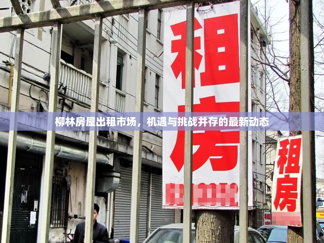 柳林房屋出租市場，機(jī)遇與挑戰(zhàn)并存的最新動(dòng)態(tài)