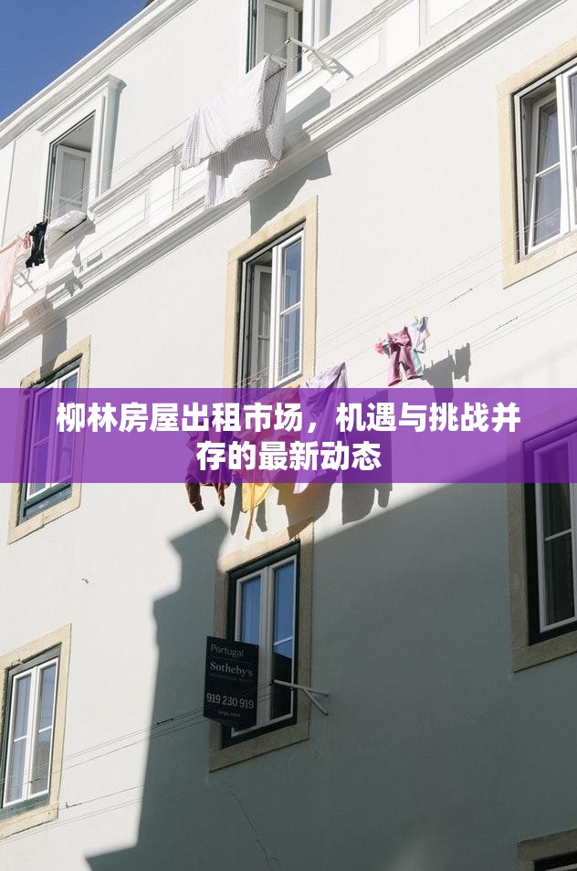 柳林房屋出租市場，機(jī)遇與挑戰(zhàn)并存的最新動(dòng)態(tài)