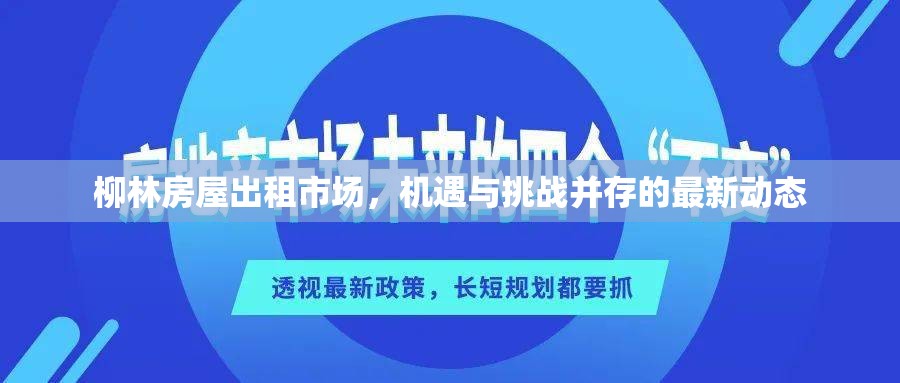 柳林房屋出租市場，機(jī)遇與挑戰(zhàn)并存的最新動(dòng)態(tài)