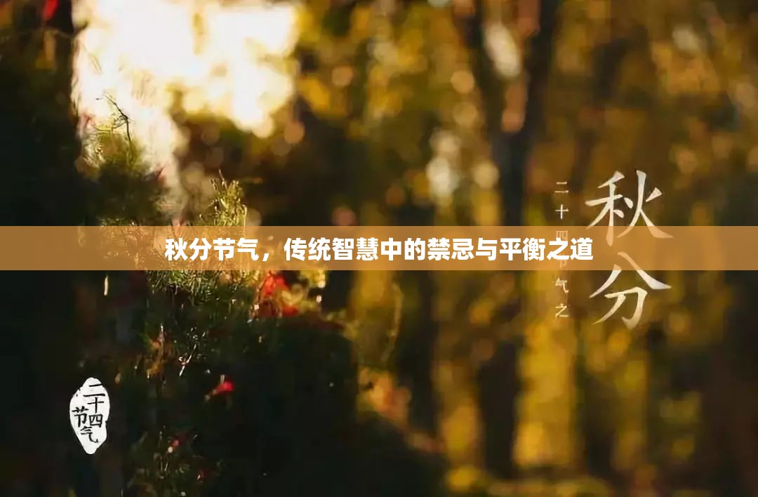 秋分節(jié)氣，傳統(tǒng)智慧中的禁忌與平衡之道
