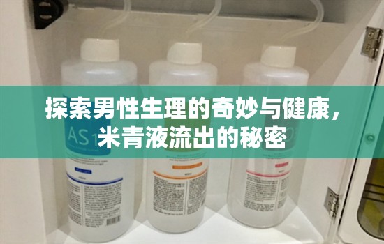 探索男性生理的奇妙與健康，米青液流出的秘密