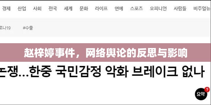 趙梓婷事件，網(wǎng)絡輿論的反思與影響