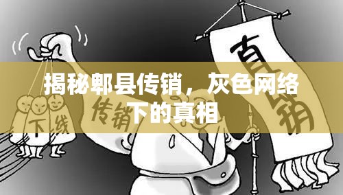 揭秘郫縣傳銷，灰色網(wǎng)絡(luò)下的真相