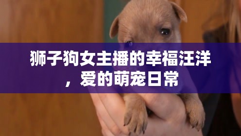 獅子狗女主播的幸福汪洋，愛的萌寵日常